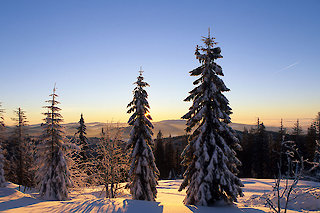 Bayerischer Wald